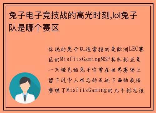 兔子电子竞技战的高光时刻,lol兔子队是哪个赛区